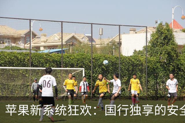 苹果新系统狂欢：国行独享的安全秘籍曝光！